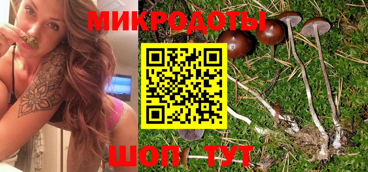 Артёмовский  Псилоцибиновые грибы мицелий  наркошоп  Вход с VPN 